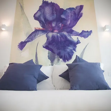 My - Casa Dei Fiori 